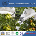 Zhikun Customizable PP Nonwoven Fabric for Agriculture